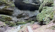 DSC07602