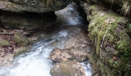 DSC07608