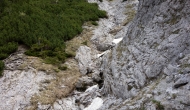 DSC07867