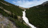 DSC07895