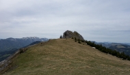 DSC07908