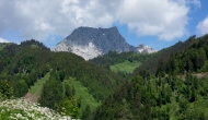 DSC08482