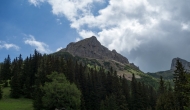 DSC08507