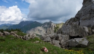 DSC08555