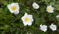 DSC08567