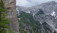 DSC08635