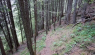DSC08646