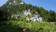 DSC08697