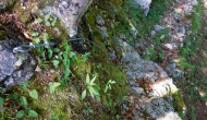 DSC08700