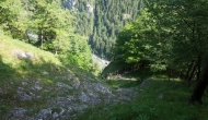 DSC08709