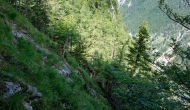 DSC08722