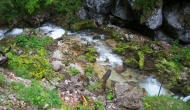 DSC08801