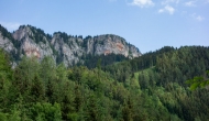 DSC08807