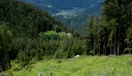 DSC08863