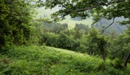 DSC08892