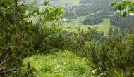 DSC08896
