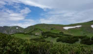 DSC08911