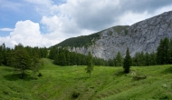 DSC08968
