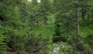 DSC09000