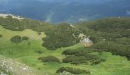 DSC09009
