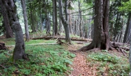DSC09014