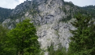 DSC09091