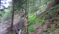 DSC09098