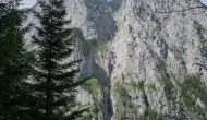 DSC09099