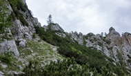 DSC09163