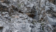 DSC09193