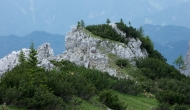 DSC09208