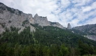 DSC09230
