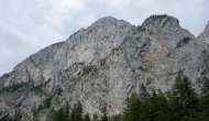 DSC09231