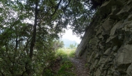DSC09401