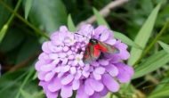 DSC09408