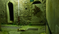 DSC09461