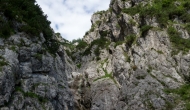 DSC09684