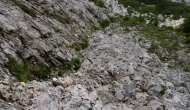 DSC09724