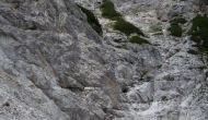 DSC09742