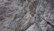 DSC09839