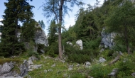DSC00004