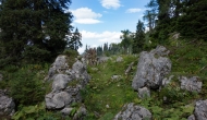 DSC00006