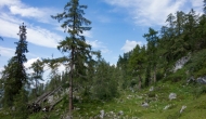 DSC00008