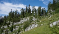 DSC00011
