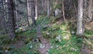 DSC00017