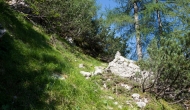 DSC09871