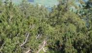 DSC09879