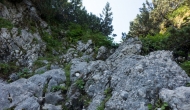 DSC09880