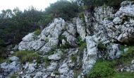 DSC09883