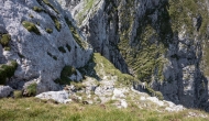 DSC09951